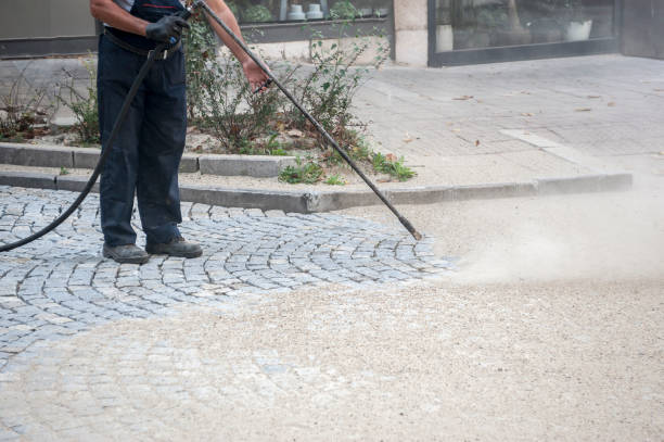 Best Winterizing Services  in Taos, MO